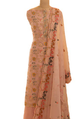 Pink Organza Meenakari work Suit