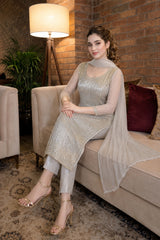Grey Organza Sequins Suit